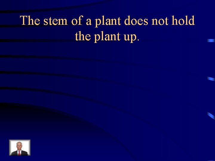 The stem of a plant does not hold the plant up. 