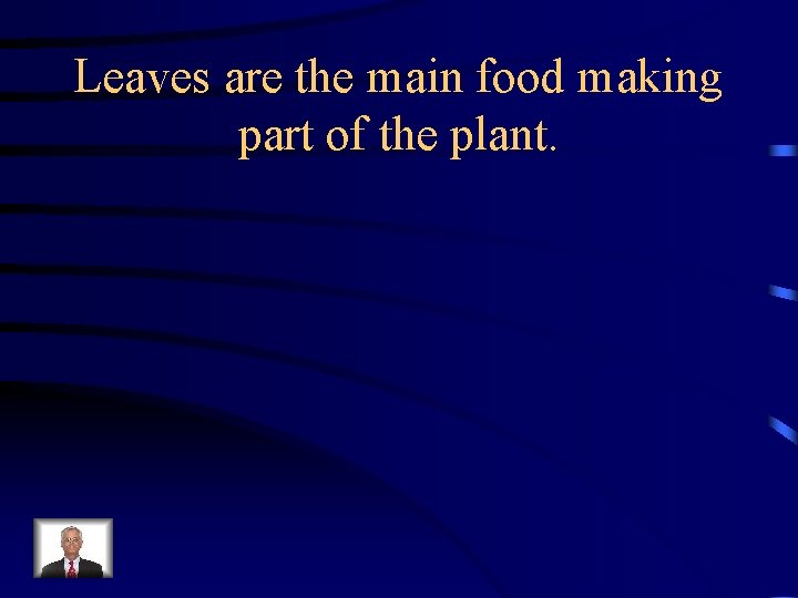 Leaves are the main food making part of the plant. 