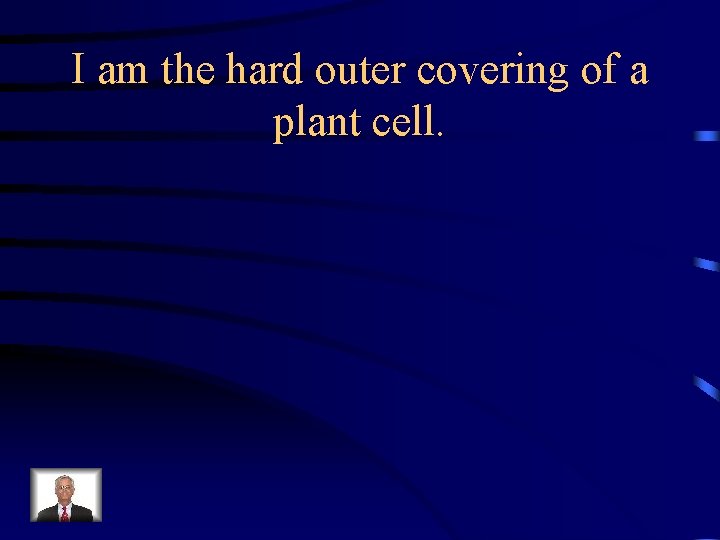 I am the hard outer covering of a plant cell. 