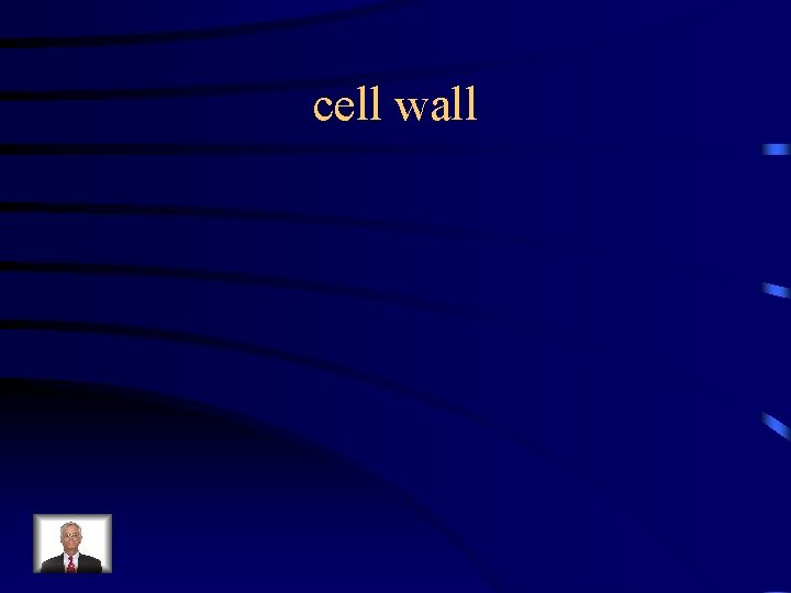 cell wall 