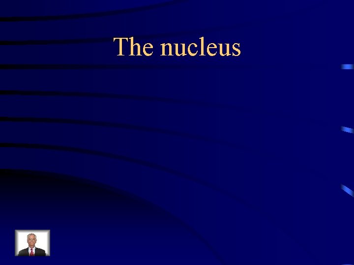 The nucleus 