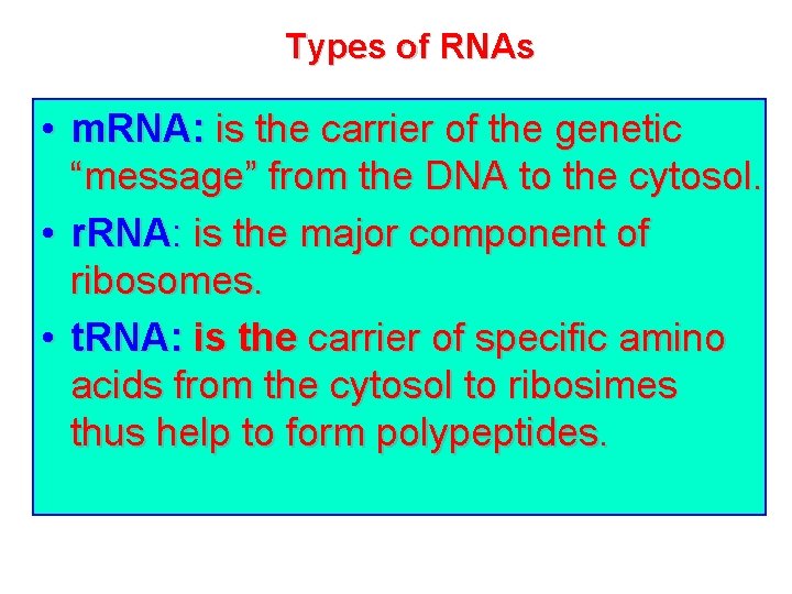 Types of RNAs • m. RNA: is the carrier of the genetic “message” from