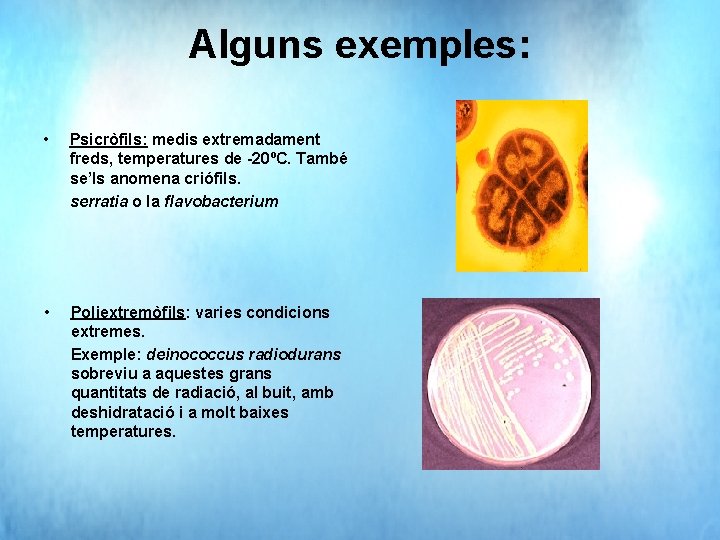 Alguns exemples: • Psicròfils: medis extremadament freds, temperatures de -20ºC. També se’ls anomena criófils.