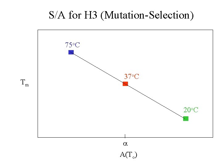 S/A for H 3 (Mutation-Selection) 75 o. C Tm 37 o. C 20 o.