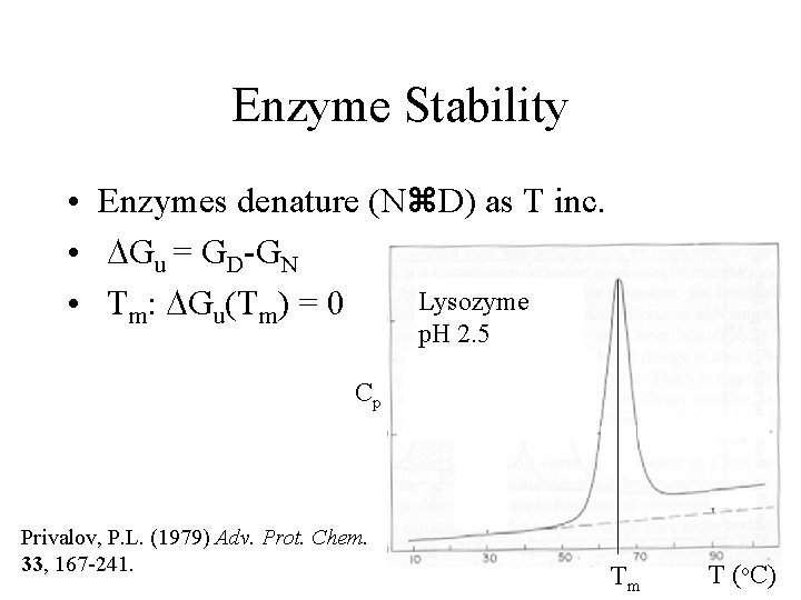 Enzyme Stability • Enzymes denature (N D) as T inc. • DGu = GD-GN