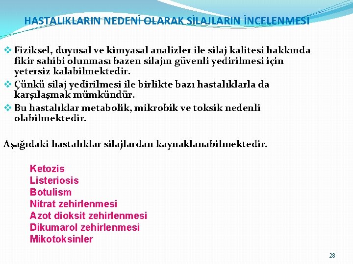 HASTALIKLARIN NEDENİ OLARAK SİLAJLARIN İNCELENMESİ v Fiziksel, duyusal ve kimyasal analizler ile silaj kalitesi