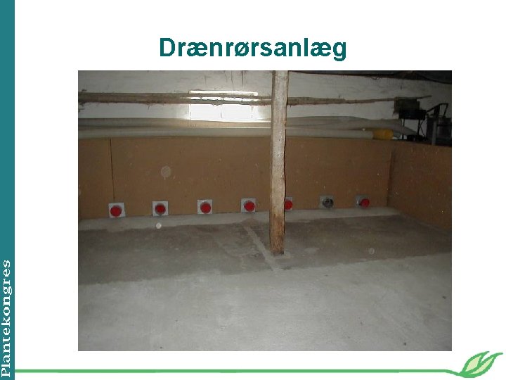 Drænrørsanlæg 