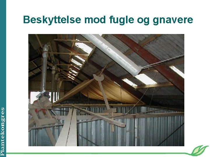 Beskyttelse mod fugle og gnavere 