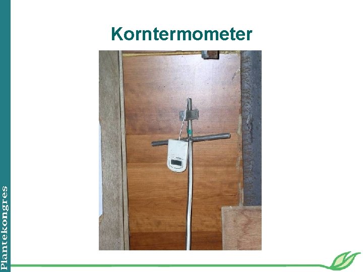 Korntermometer 