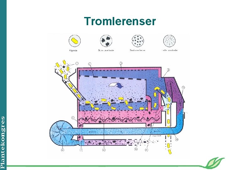 Tromlerenser 