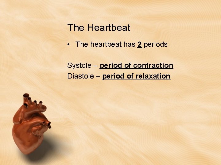 The Heartbeat • The heartbeat has 2 periods Systole – period of contraction Diastole The Heartbeat • The heartbeat has 2 periods Systole – period of contraction Diastole