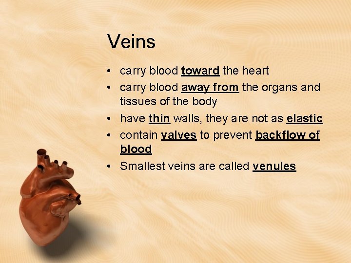 Veins • carry blood toward the heart • carry blood away from the organs Veins • carry blood toward the heart • carry blood away from the organs