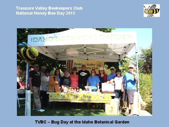 Treasure Valley Beekeepers Club National Honey Bee Day 2015 TVBC – Bug Day at