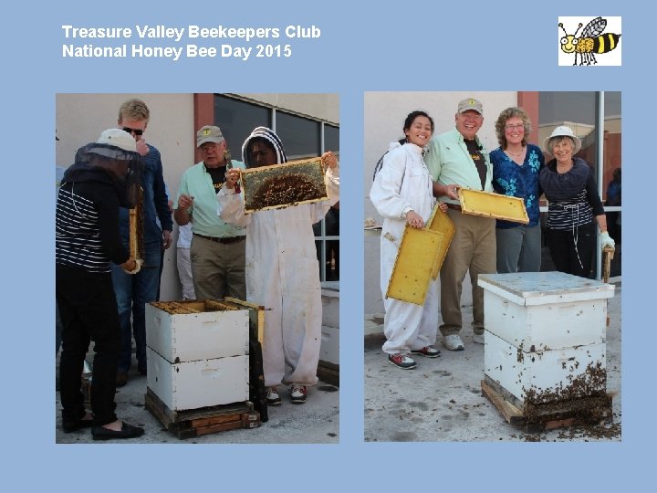 Treasure Valley Beekeepers Club National Honey Bee Day 2015 