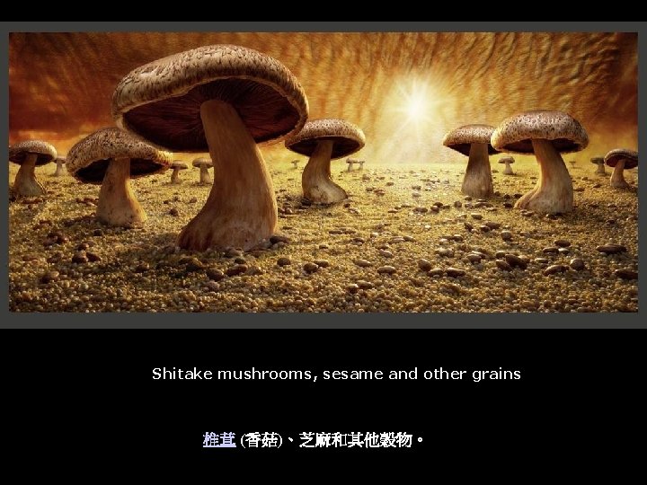 Shitake mushrooms, sesame and other grains 椎茸 (香菇)、芝麻和其他穀物。 