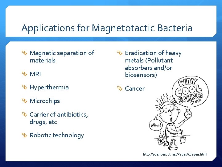 Applications for Magnetotactic Bacteria Magnetic separation of materials MRI Hyperthermia Eradication of heavy metals