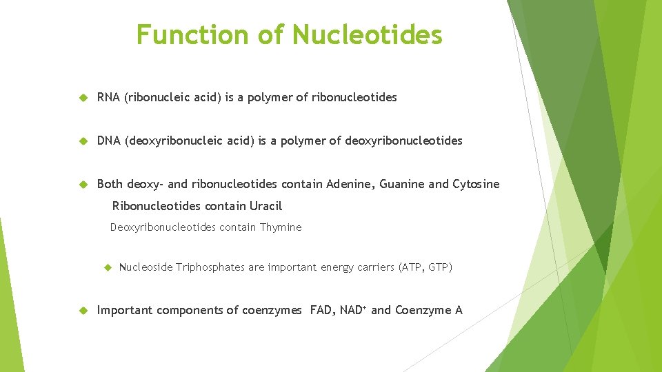 Function of Nucleotides RNA (ribonucleic acid) is a polymer of ribonucleotides DNA (deoxyribonucleic acid)
