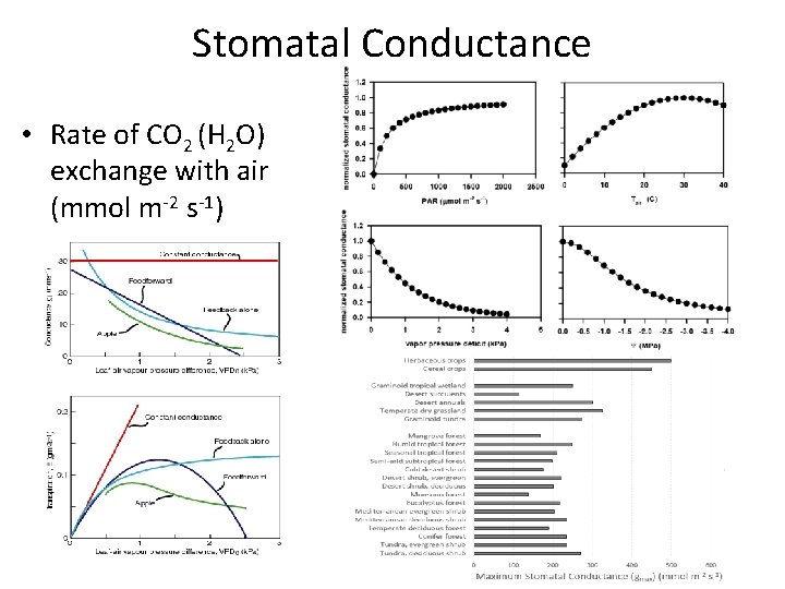 Stomatal Conductance • Rate of CO 2 (H 2 O) exchange with air (mmol