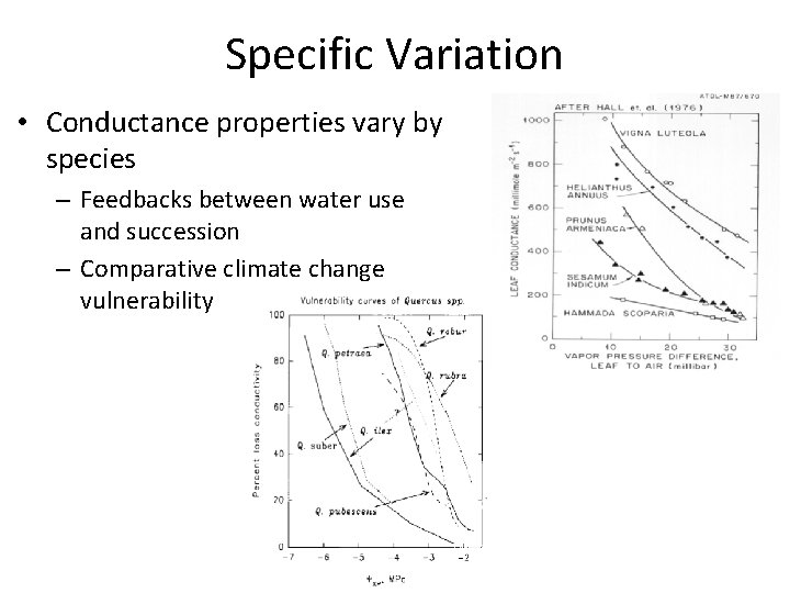 Specific Variation • Conductance properties vary by species – Feedbacks between water use and