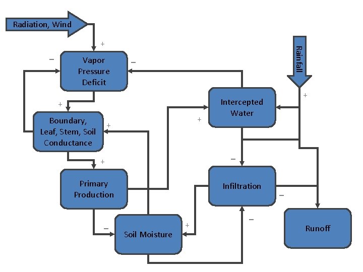 Radiation, Wind - Vapor Pressure Deficit Rainfall + - + + Boundary, + Leaf,