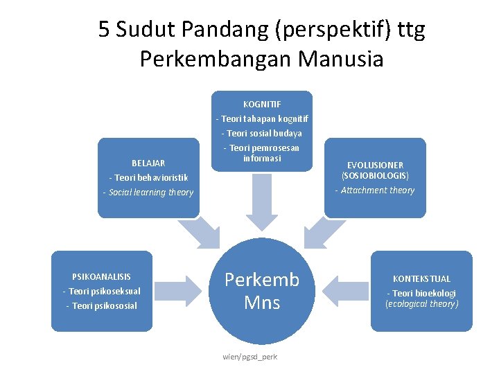 5 Sudut Pandang (perspektif) ttg Perkembangan Manusia KOGNITIF - Teori tahapan kognitif BELAJAR -