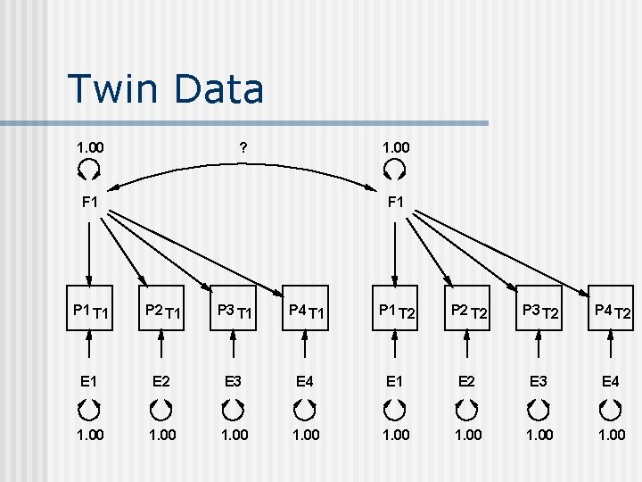 Twin Data 1. 00 ? 1. 00 F 1 P 1 T 1 P