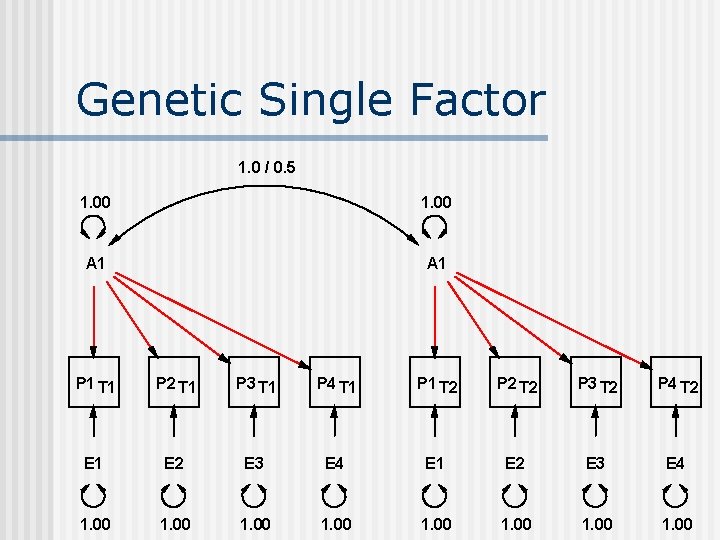 Genetic Single Factor 1. 0 / 0. 5 1. 00 A 1 P 1