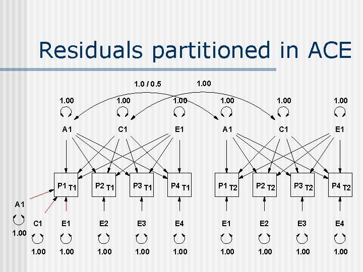 Residuals partitioned in ACE 1. 00 1. 0 / 0. 5 1. 00 A