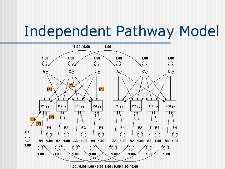 Independent Pathway Model 1. 00 / 0. 50 1. 00 1. 00 AC CC