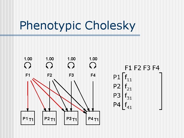 Phenotypic Cholesky 1. 00 F 1 F 2 F 3 F 4 P 1