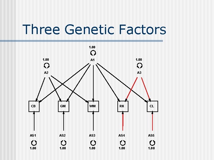 Three Genetic Factors 1. 00 A 1 A 2 A 3 CB GM WM