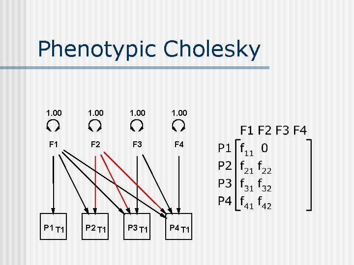 Phenotypic Cholesky 1. 00 F 1 F 2 F 3 F 4 P 1