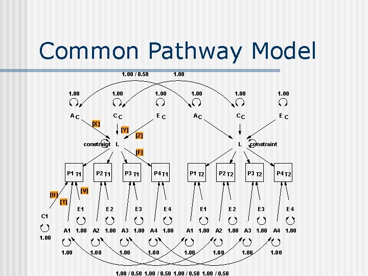 Common Pathway Model 1. 00 / 0. 50 1. 00 1. 00 AC CC