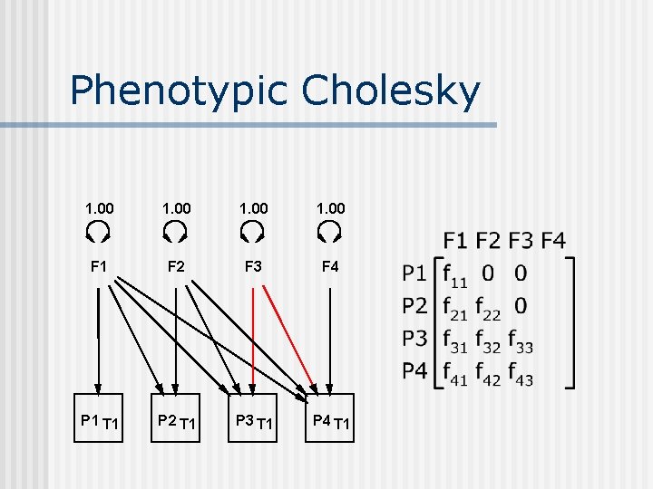 Phenotypic Cholesky 1. 00 F 1 F 2 F 3 F 4 P 1