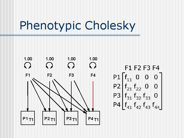 Phenotypic Cholesky 1. 00 F 1 F 2 F 3 F 4 P 1