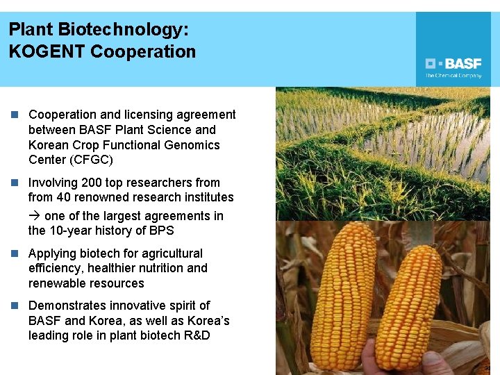 Plant Biotechnology: KOGENT Cooperation n Cooperation and licensing agreement between BASF Plant Science and