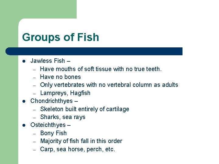 Animal Kingdom Vertebrates Biology 1 What is a