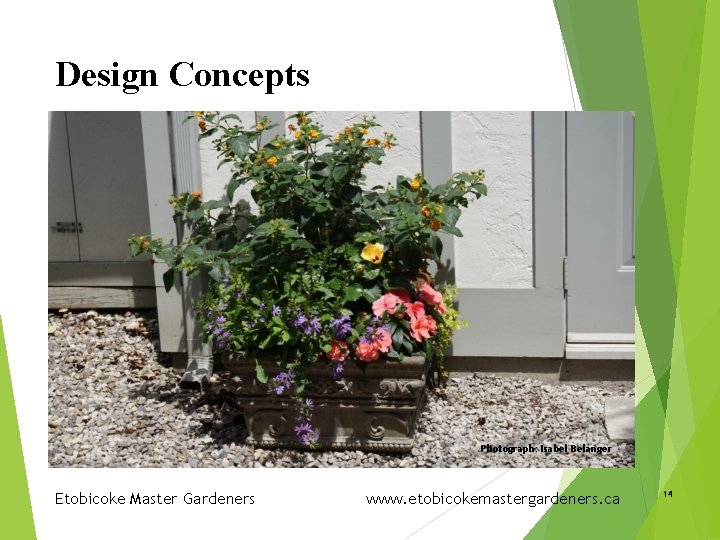 Design Concepts Photograph: Isabel Belanger Etobicoke Master Gardeners www. etobicokemastergardeners. ca 14 