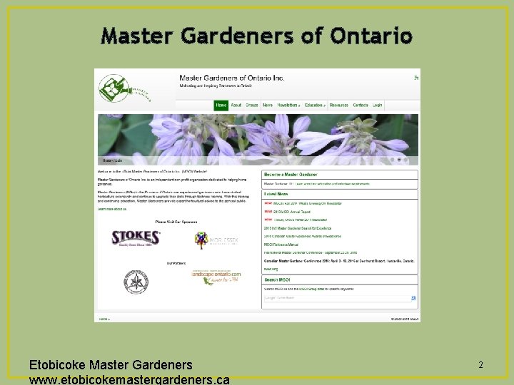 Master Gardeners of Ontario Etobicoke Master Gardeners www. etobicokemastergardeners. ca 2 