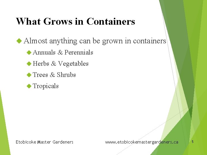 What Grows in Containers Almost anything can be grown in containers Annuals & Perennials