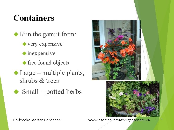 Containers Run the gamut from: very expensive inexpensive found objects Large – multiple plants,