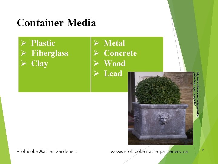 Container Media Ø Plastic Ø Fiberglass Ø Clay Metal Concrete Wood Lead www. etobicokemastergardeners.