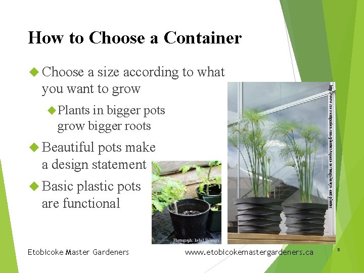 How to Choose a Container Choose Plants in bigger pots grow bigger roots Beautiful