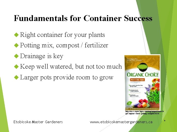 Fundamentals for Container Success Right container for your plants Potting mix, compost / fertilizer