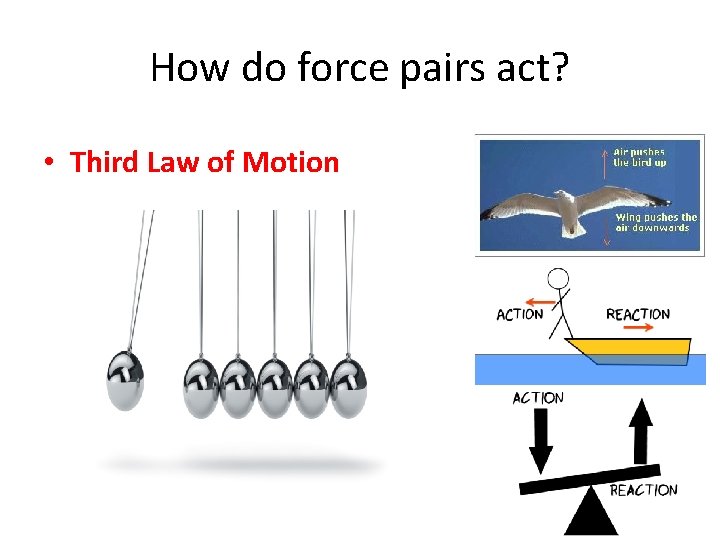 How do force pairs act? • Third Law of Motion 