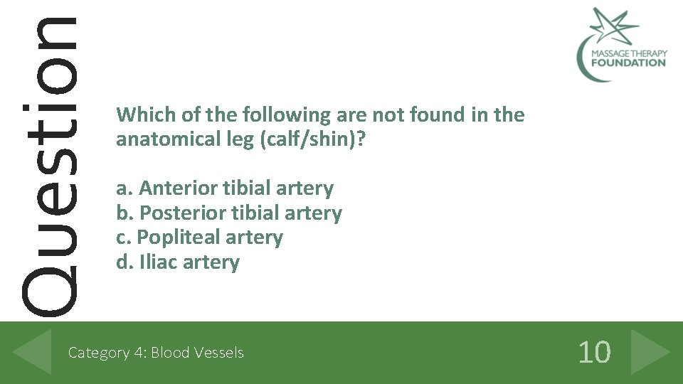 Question Which of the following are not found in the anatomical leg (calf/shin)? a.