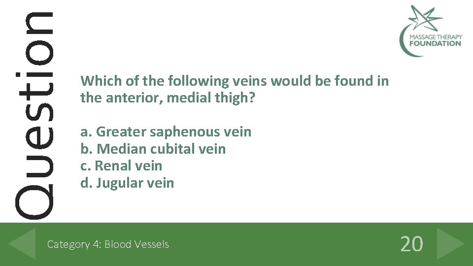 Question Which of the following veins would be found in the anterior, medial thigh?
