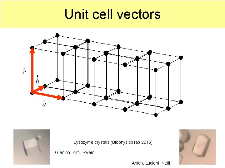 Unit cell vectors Lysozyme crystals (Biophysics lab 2016) Gianino, Kim, Swain Anich, Lucioni, Nelli,