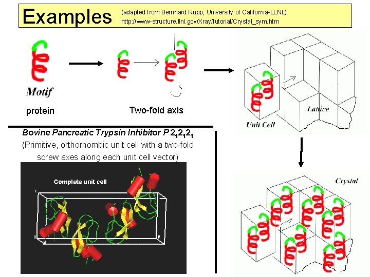 Examples protein (adapted from Bernhard Rupp, University of California-LLNL) http: //www-structure. llnl. gov/Xray/tutorial/Crystal_sym. htm