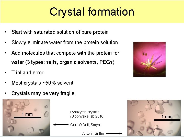 Crystal formation • Start with saturated solution of pure protein • Slowly eliminate water